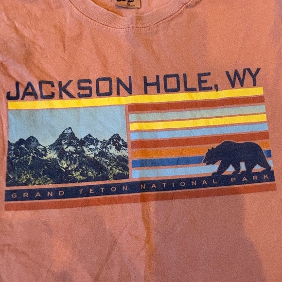 Jackson Hole Graphic T-Shirt - Orange Wyoming size small pre loved - Picture 2 of 4